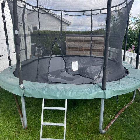 Oval jump king trampoline 3,1x4,6m