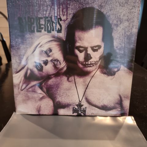 Danzig  ☆ Skeletons ☆