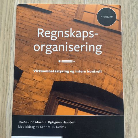 Regnskapsorganisering