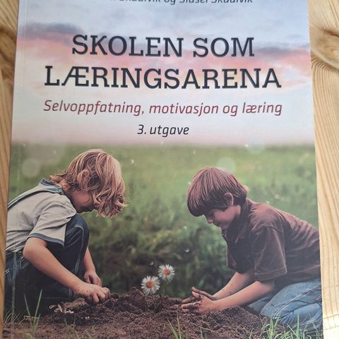 Skolen som læringsarena