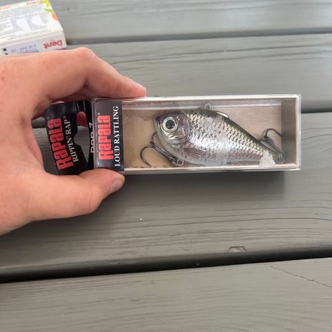 Rapala