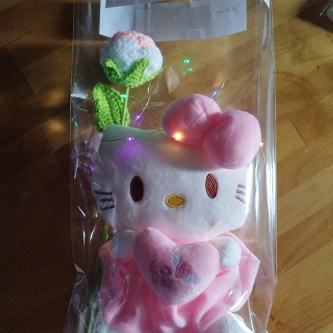 Gavepose Hello kitty