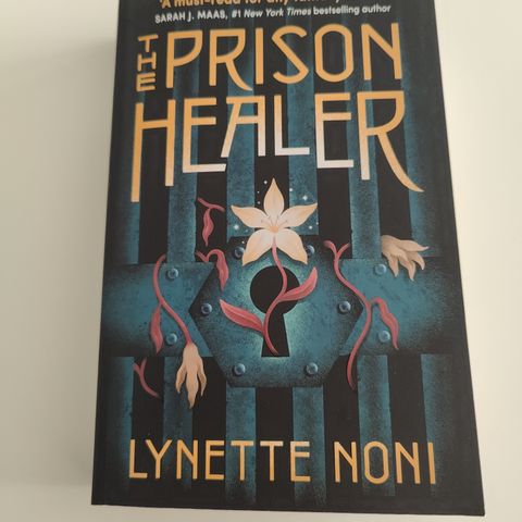 The Prison Healer av Lynette Noni