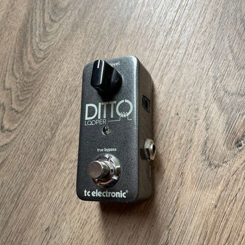 Tc Electronic Ditto Looper