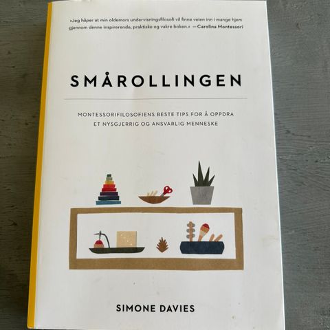 Smårollingen bok av Simone Davies