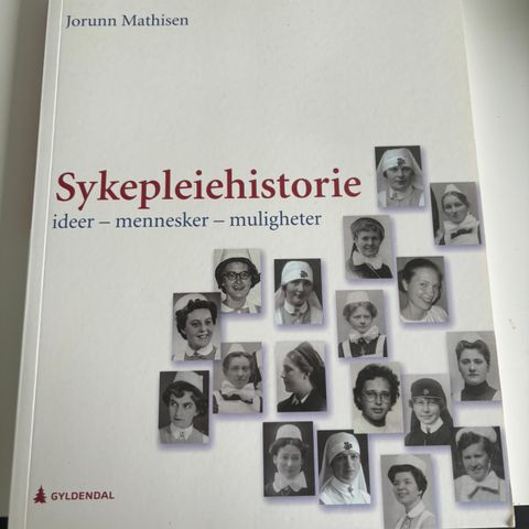Sykepleiehistorie - 2.utgave
