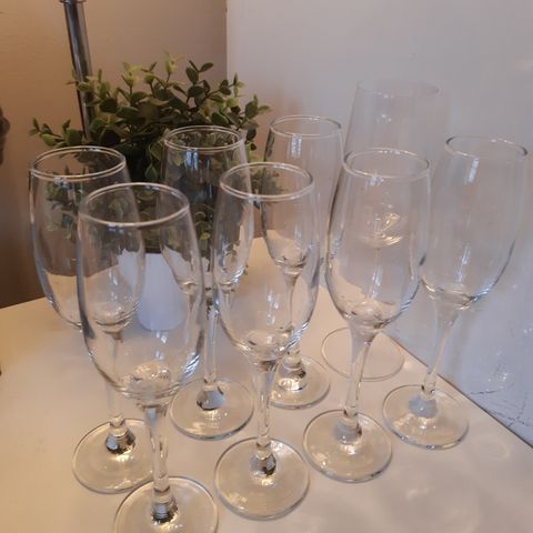 8 stk champagne glass