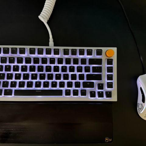 Glorious Pro Keyboard and Mouse