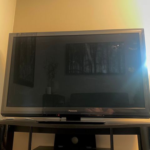 Panasonic 46" TV