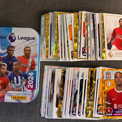 Panini Premier League 2024