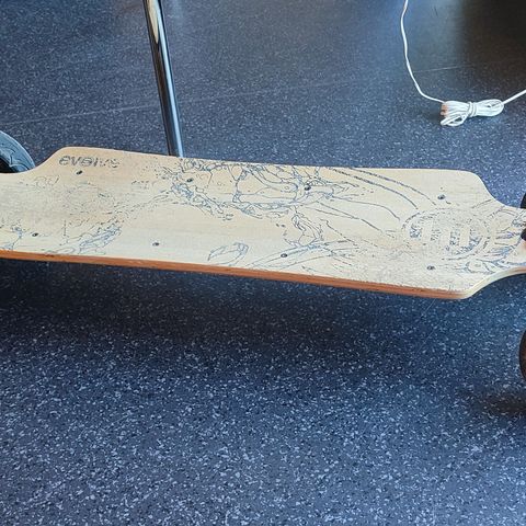 Used Electric Longboard 2kW Range 4km