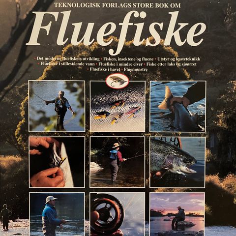 Fluefiske