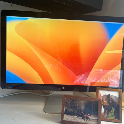 Apple Thunderbolt Display 27 inch