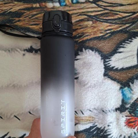 Spirit Water Bottle