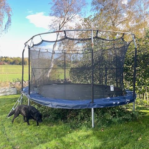 Jumpking oval trampoline 4,3m x 5,2m selges på rot