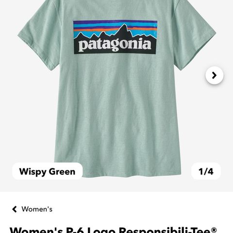 Patagonia t-skirt