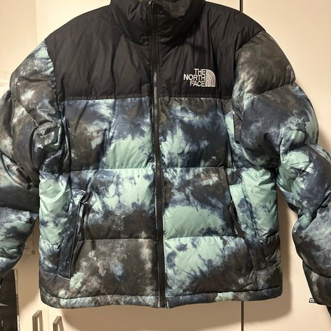 The North Face-Printed Retro Nuptse Jacket Unisex-Dunjakke: Wasabi ice