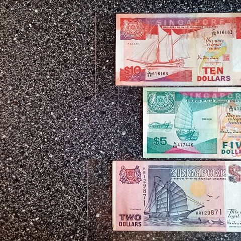 Singapore 17 Dollars