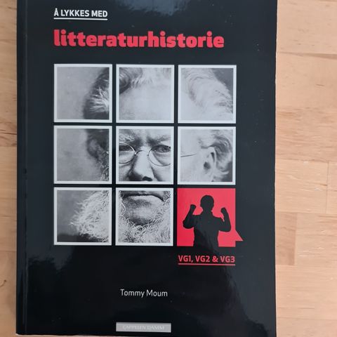 Selger: Å lykkes med litteraturhistore