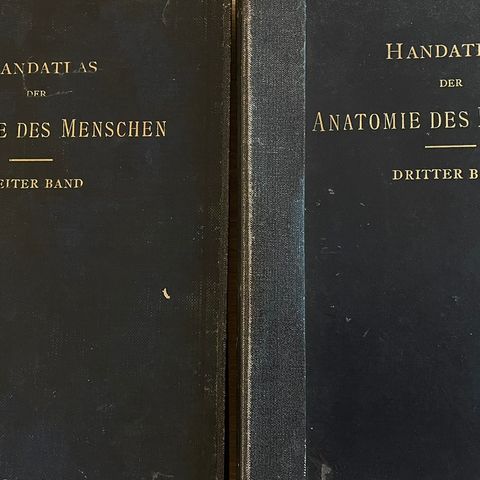 Anatomie des Menschen bind 2 og 3