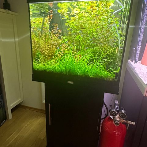 Akvarium Juwel 120 liter