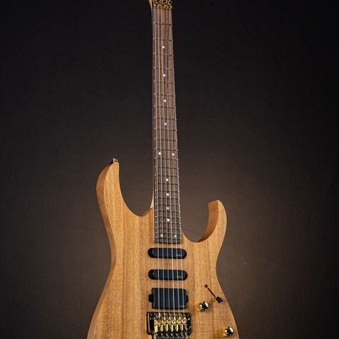 Ibanez Premium RG6PKAG ØNSKES KJØPT/BYTTET