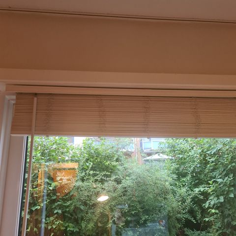 Hvite persienner i tre til vindu