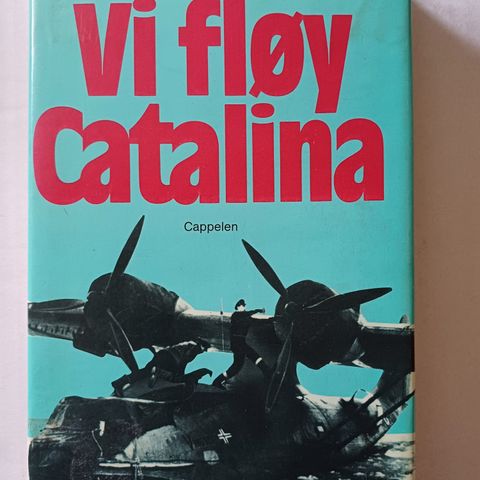 Vi fløy Catalina.