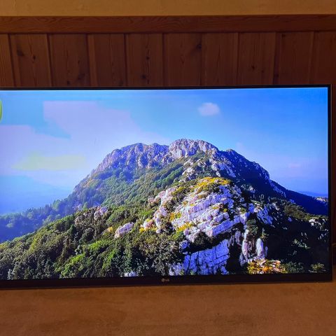 Lg tv 55”