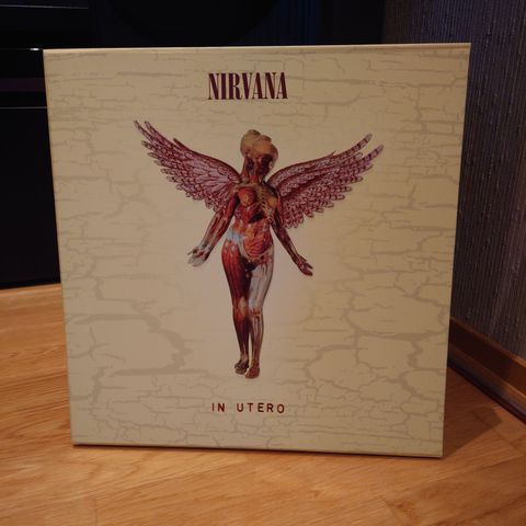 Nirvana - In Utero. Limited Edition 3xCD 1x DVD 20th Anniversary Box Set.