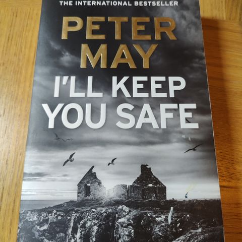 I'll Keep You Safe av Peter May