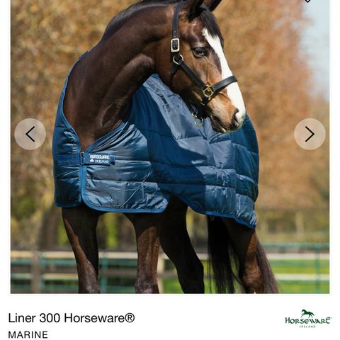 Horseware liner 300g