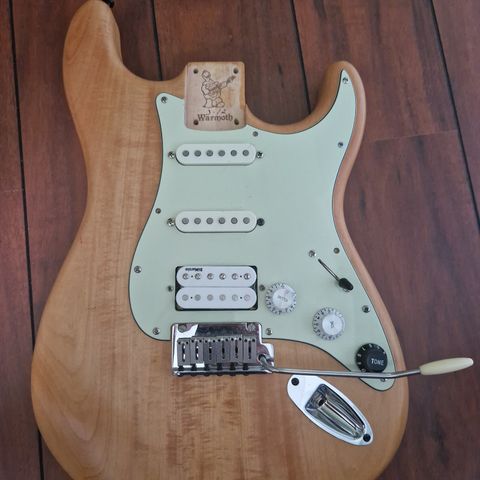 Loaded pickguard