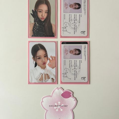 Wonyoung Eleven Photocard Sett