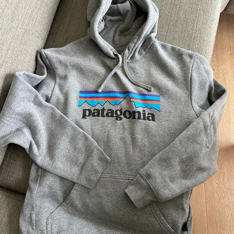 Patagonia hettegenser