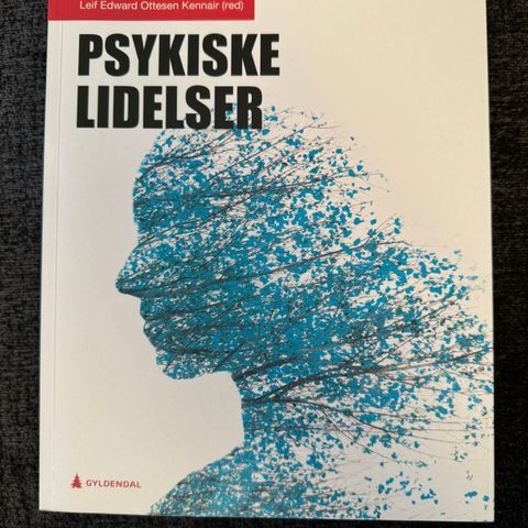 Psykiske lidelser