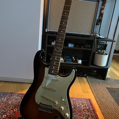 Fender Stratocaster Partscatser