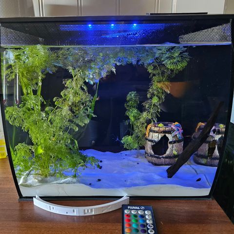 Fluval Flex 34 liter