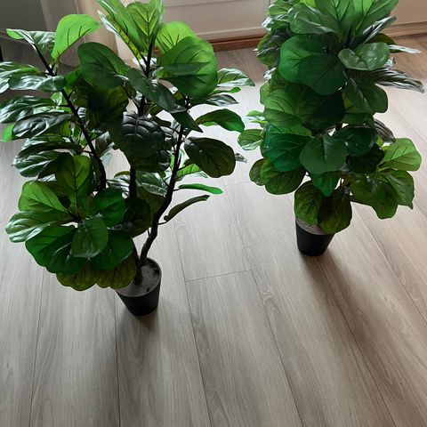 2  grønne kunstige planter