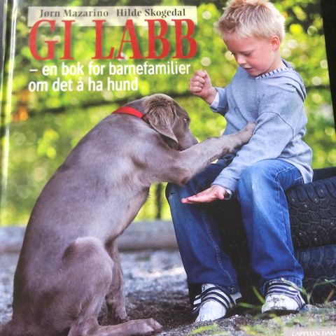 Bøker om katt, hundehold i barnefamilien og trening av hest av Monty Roberts