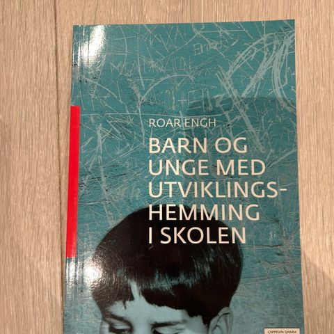 Barn og unge med utviklingshemming i skolen