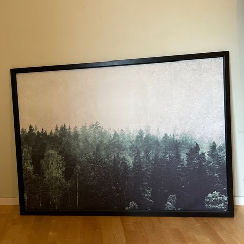 Pent brukt bilde med illustrasjon av skog