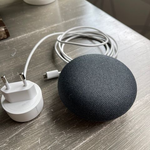 Google Nest Mini