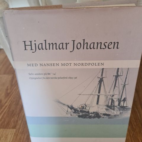 Hjalmar Johansen