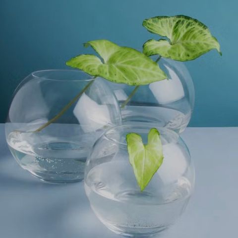 Ubrukt Hadeland Sans Novo glassvase (9 cm).