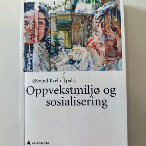 Oppvekstmiljø og sosialisering