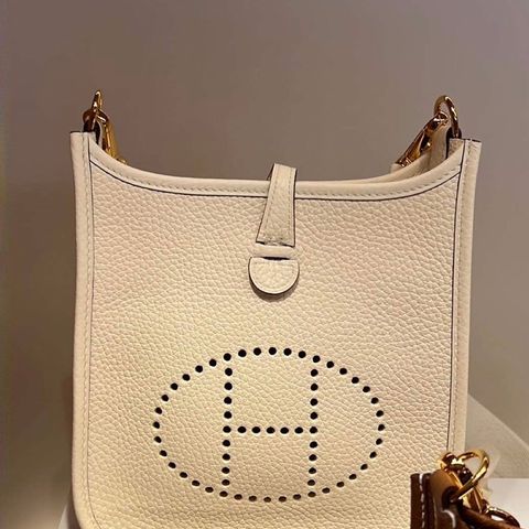 HERMES MINI EVELYNE