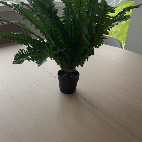 Kunstig plante