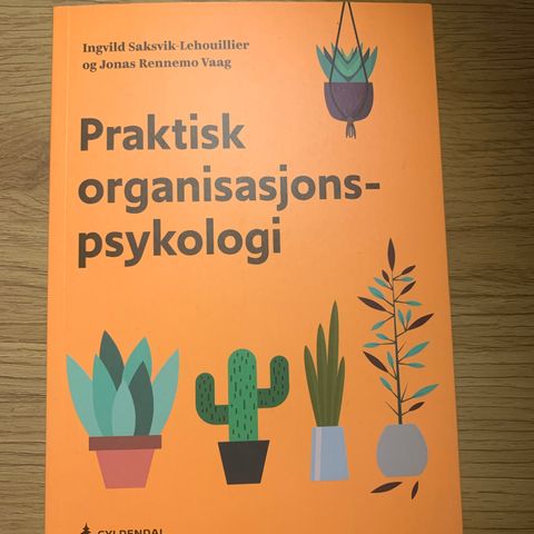 Praktisk organisasjonspsykologi