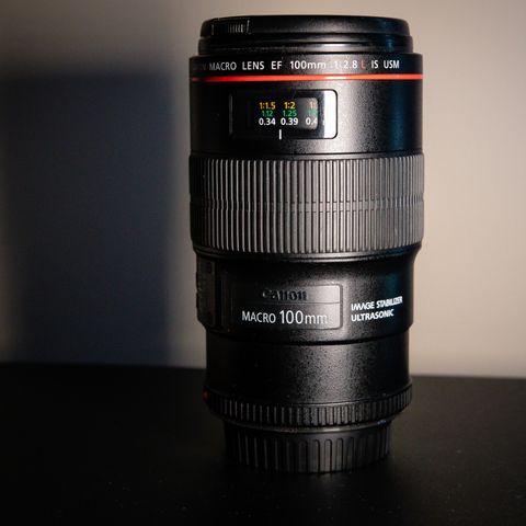 Canon EF 100mm F2.8 L IS USM Macro